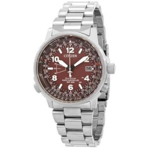 Perpetual World Time Watch CB024185X