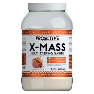 ProActive - X-Mass