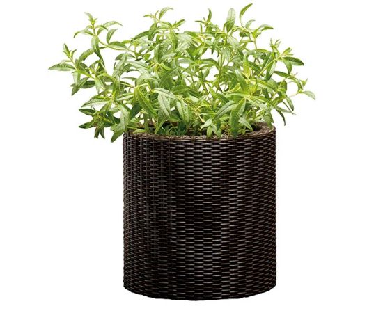 პლასტმასის ქოთანი ყვავილებისთვის Keter Cylinder Planter S 7 ლ