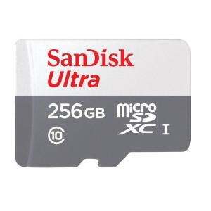 SANDISK SDSQUNR-256G-GN3MN