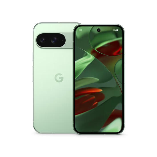 Google Pixel 9 12128GB Wintergreen