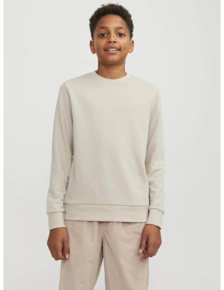 Jack & Jones - JJEBRADLEY SWEAT CREW NOOS JNR