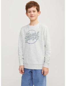 Jack & Jones - JJMINDS SWEAT CREW NECK JNR