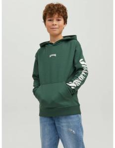 Jack & Jones - JOROLI SKATER SWEAT HOOD LN JNR