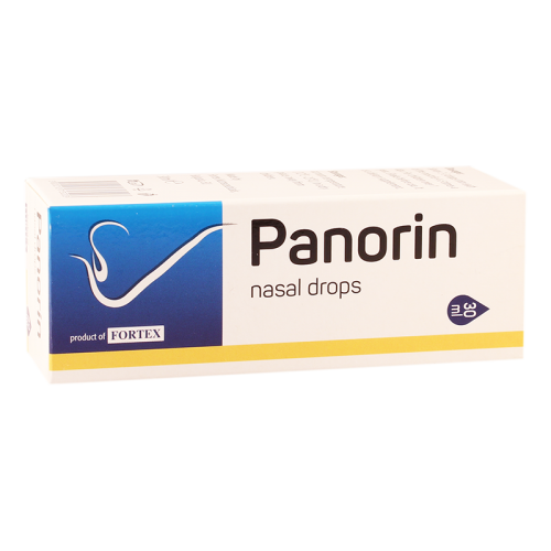 პანორინი