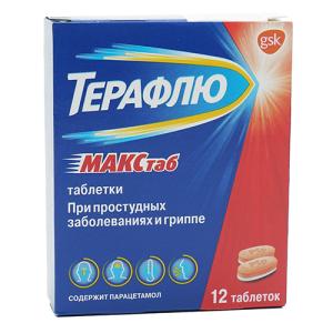 ტერაფლუ მაქსტაბი