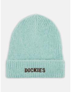 ქალის ქუდი Dickies - HAYS BEANIE PASTEL TURQUOISE