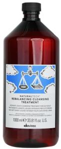 Davines Naturaltech Rebalancing ცხიმიანი თმის გამწმენდი 1000 მლ