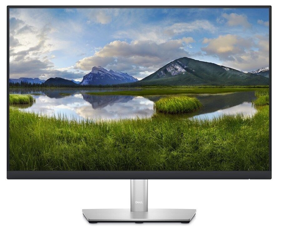 Dell P2423 24" Monitor Silver/Black