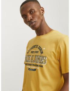 მაისური Jack & Jones - JJELOGO TEE SS O-NECK 2 COL AW24 SN