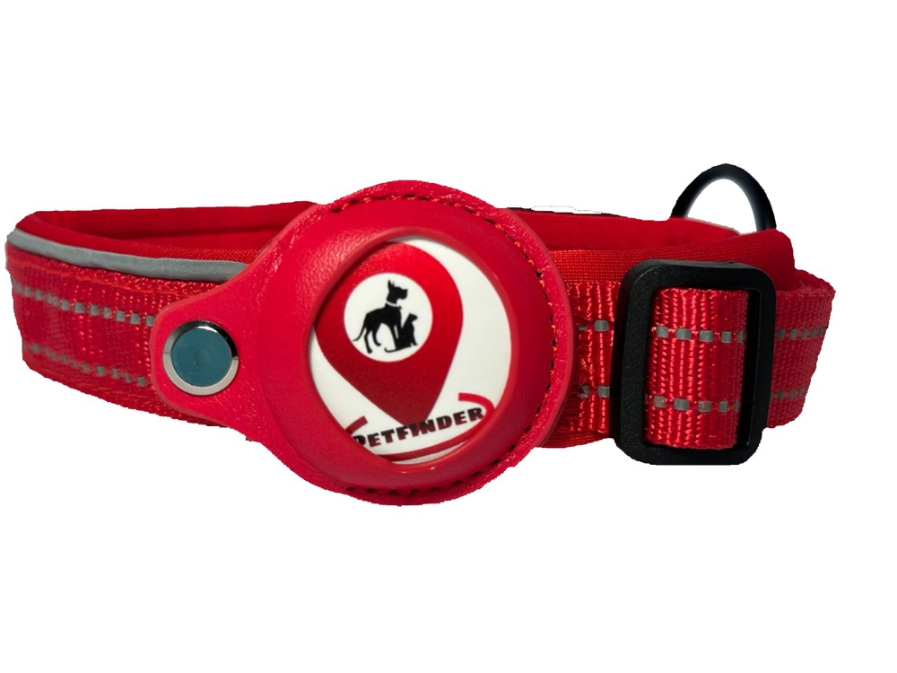 ძაღლის საყელური Petfinder Dog Collar XL Red