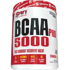 SAN Nutrition, BCAA PRO 5000, Fruit Punch