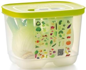 Tupperware, კონტეინერი