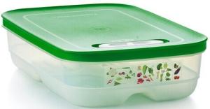 Tupperware, კონტეინერი