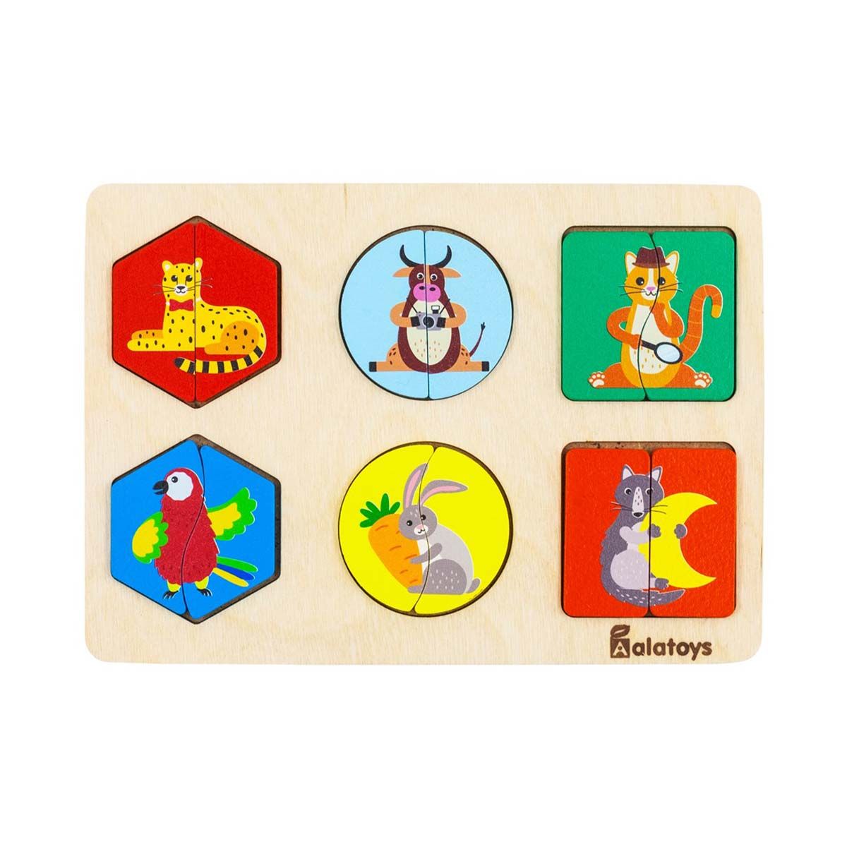 Alatoys - ალათოის სორტერი იპოვნე წყვილი N2 7883