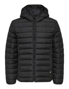 კაცის ქურთუკი ONLY & SONS - ONSBRODY QUILT HOOD JACKET OTW VD