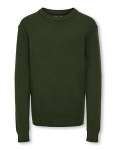 ბავშვის ჯემპრი/ჟაკეტი KIDS ONLY - KOBPHIL CREW NECK PULLOVER L/S KNT
