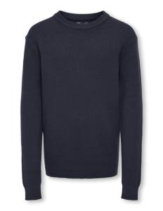 ბავშვის ჯემპრი/ჟაკეტი KIDS ONLY - KOBPHIL CREW NECK PULLOVER L/S KNT
