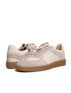 კედები Gant