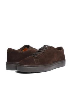 კედები DOUCALS