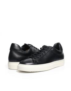 კედები DOUCALS