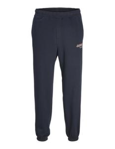 შარვალი Jack&Jones - JPSTKANE JJVESTERBRO NEWTON SWEAT PLS