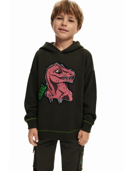 ბავშვის ჯემპრი/ჟაკეტი Desigual - DINOSAUR SWEATSHIRT