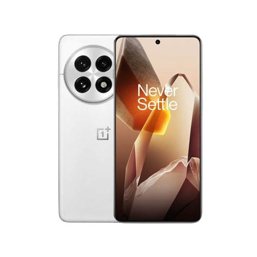 OnePlus 13 5G 16512GB Arctic Grey