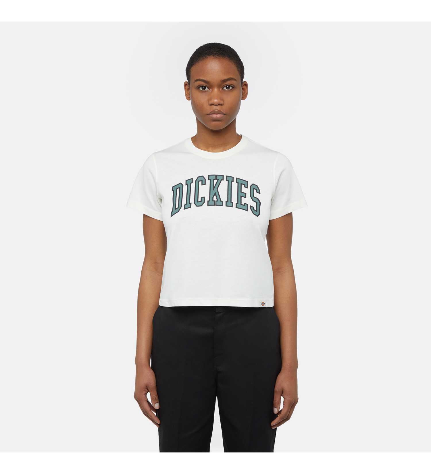 მაისურები Dickies - AITKIN TEE