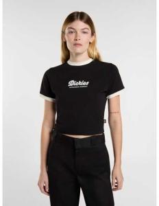 მაისურები Dickies - LEWISTOWN RINGER SS TEE W