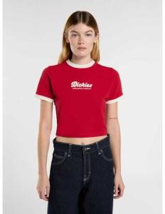 მაისურები Dickies - LEWISTOWN RINGER SS TEE W