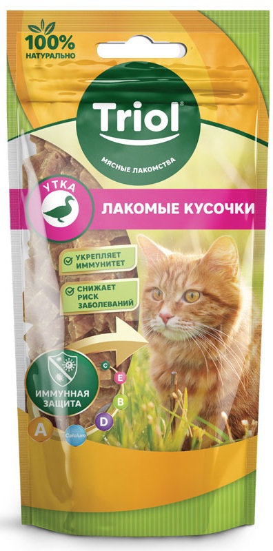Triol, 40 გრ. ზრდასრული კატის სასუსნაო, იხვით