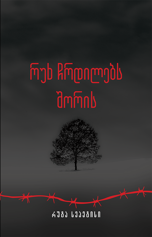 რუხ ჩრდილებს შორის