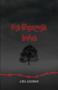 რუხ ჩრდილებს შორის