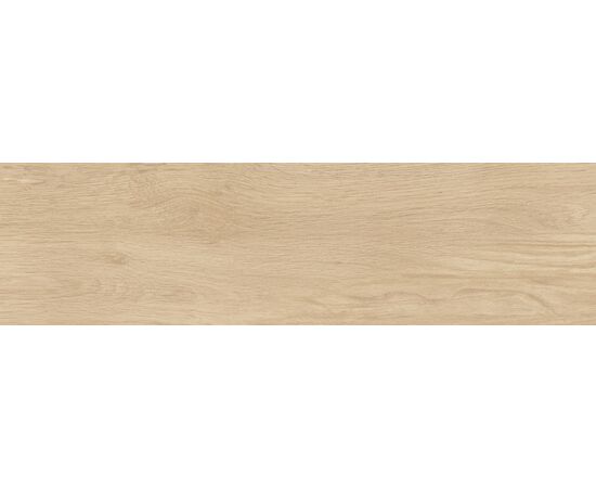 კერამოგრანიტი Emotion ceramics P NOOK NATURAL MAT PRI 23.3X120