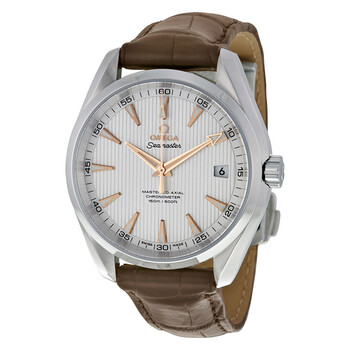 Aqua Terra 150m Master CoAxial Silver Dial Watch 231.13.42.21.02.003