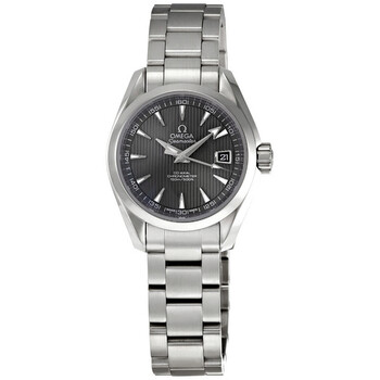 Aqua Terra Grey Dial Watch 231.10.30.20.06.001