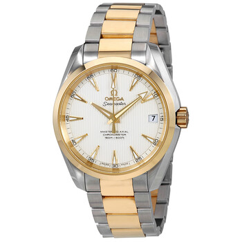 Aqua Terra Master CoAxial Silver Dial Watch 231.20.39.21.02.002
