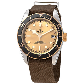 Black Bay SG Automatic 41 mm Champagne Dial Watch M79733N0006