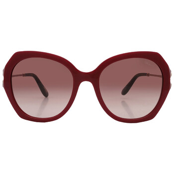 Brown Butterfly Sunglasses SCH354S 0G96