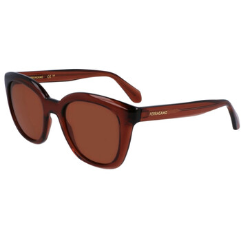 Brown Cat Eye Sunglasses SF2000S 232