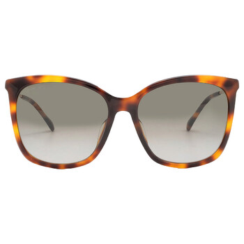 Brown Gradient Butterfly Sunglasses NEREAGS 005LHA
