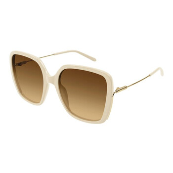 Brown Square Sunglasses CH0173S 005