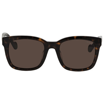 Brown Square Sunglasses ML0113K 52J