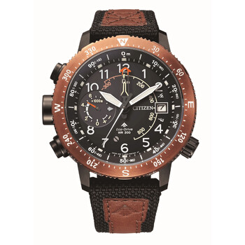 Citizen Promaster Land Black Dial Watch BN404911E