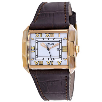 Classic Silvertone Dial Watch 233MOPWHBR LE