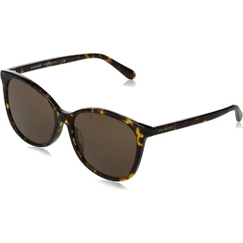 Dark Brown Square Sunglasses HC8271U 512073