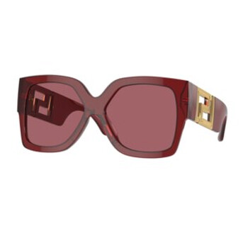 Dark Violet Butterfly Sunglasses VE4402 38869