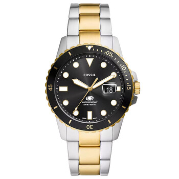 Dive Black Dial Watch FS6031