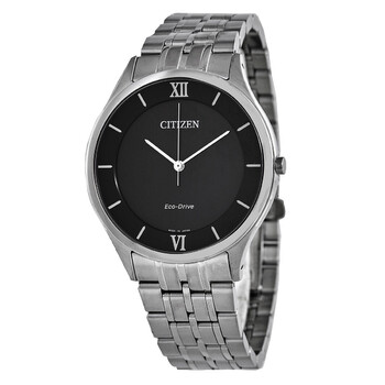 EcoDrive Black Dial Stainless Steel Watch AR007051E